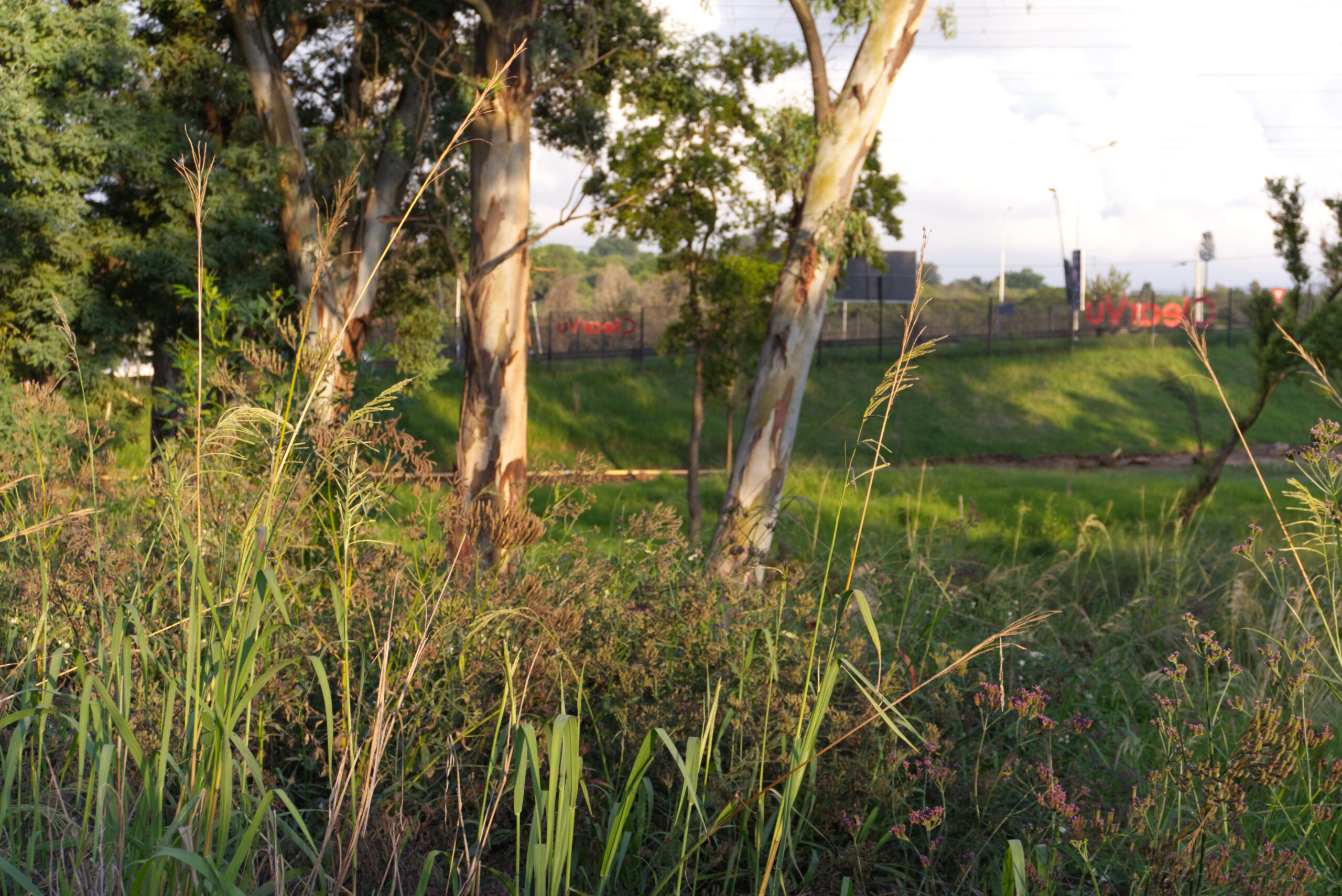 National Geographic city guide