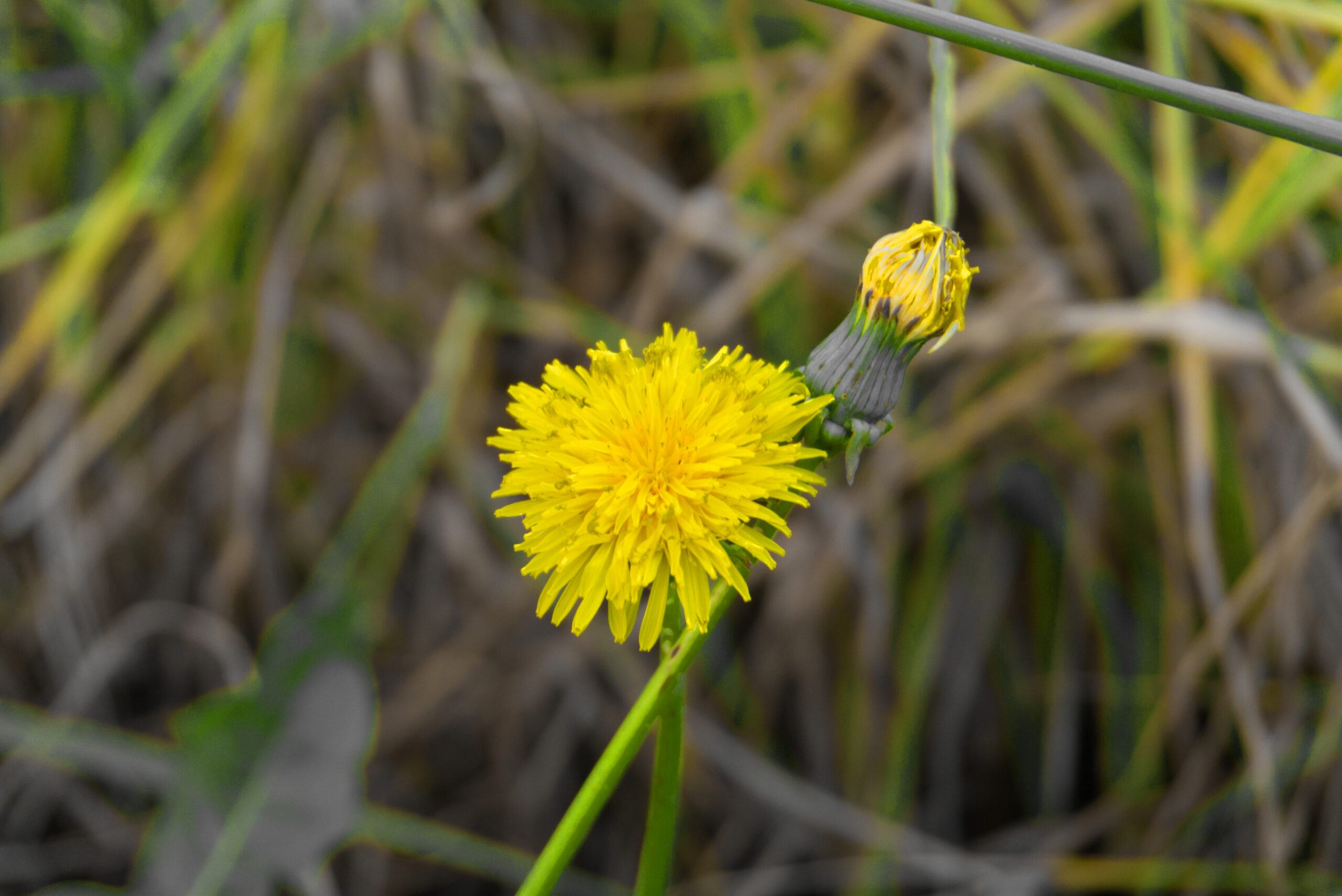 Women and girls safety initiative at the park