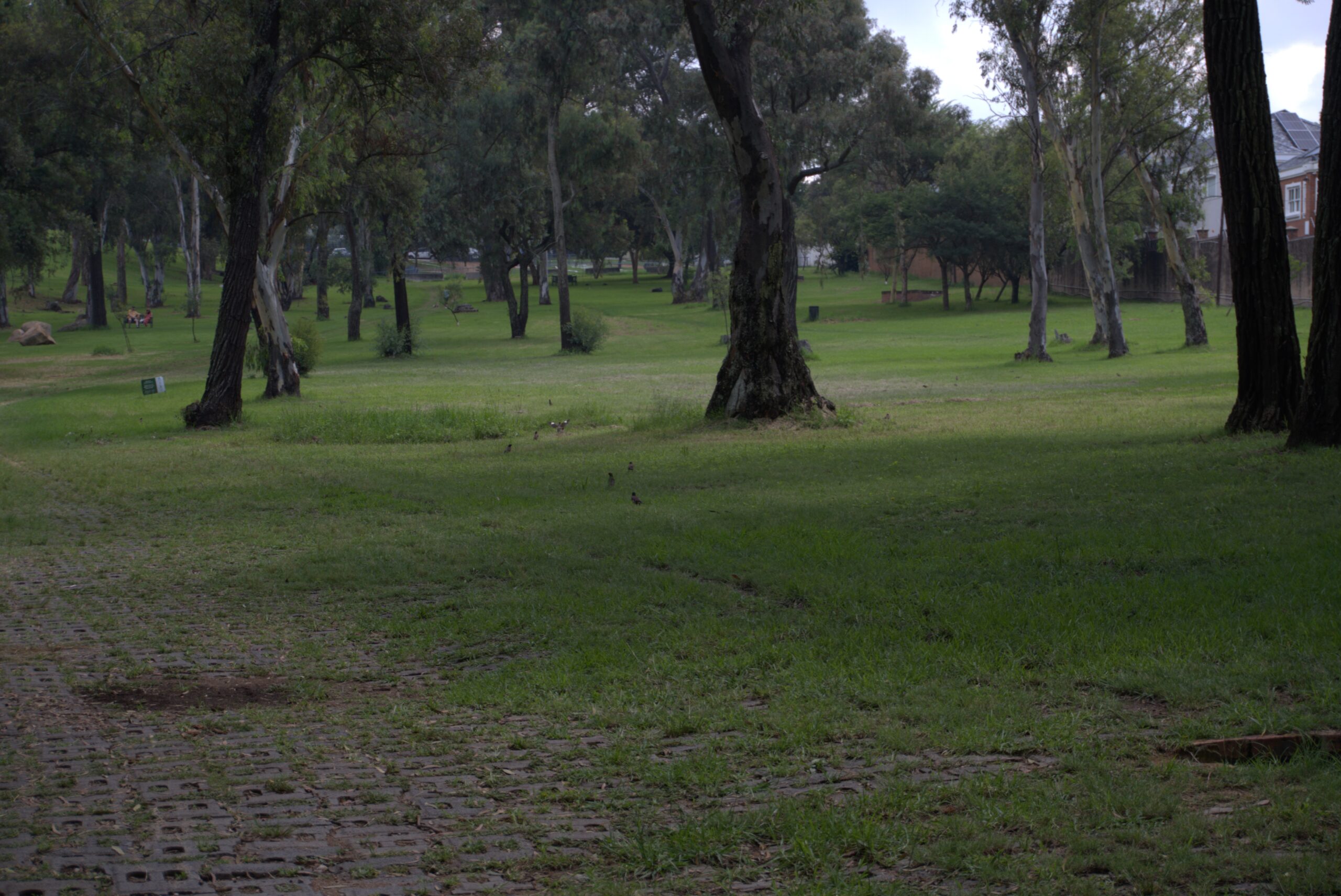 Opinion piece about park revival