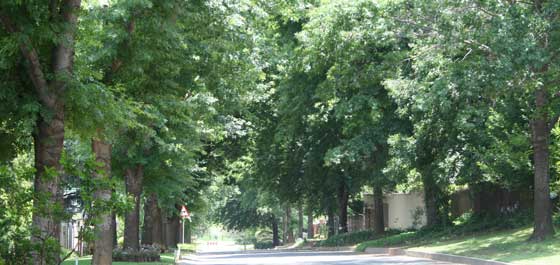 City guide to top parks