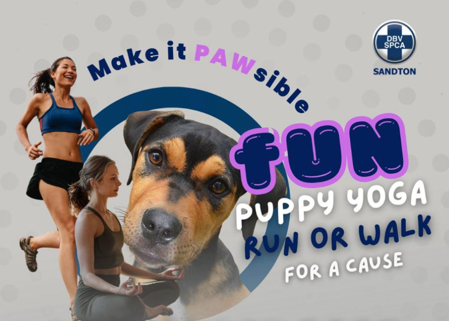 FUN Puppy Yoga · Run/Walk
